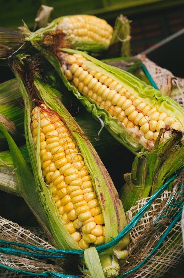 HOW TO FREEZE CORN ON THE COB